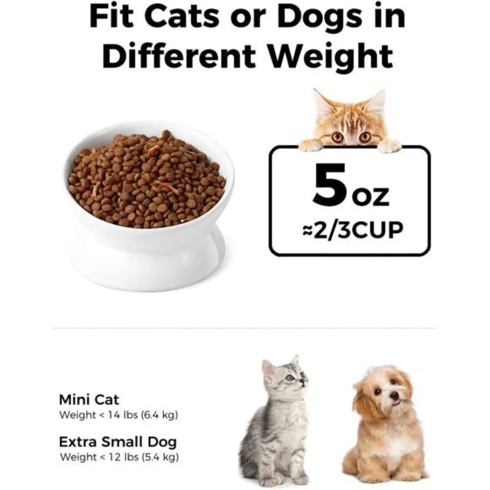 Elevated Cat Food Bowl, 5 Oz Ceramic Raised and Tilted Water Bowl, Anti Vomiting